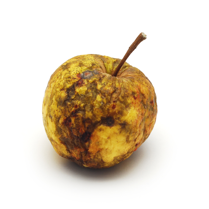 clipart rotten apple - photo #48